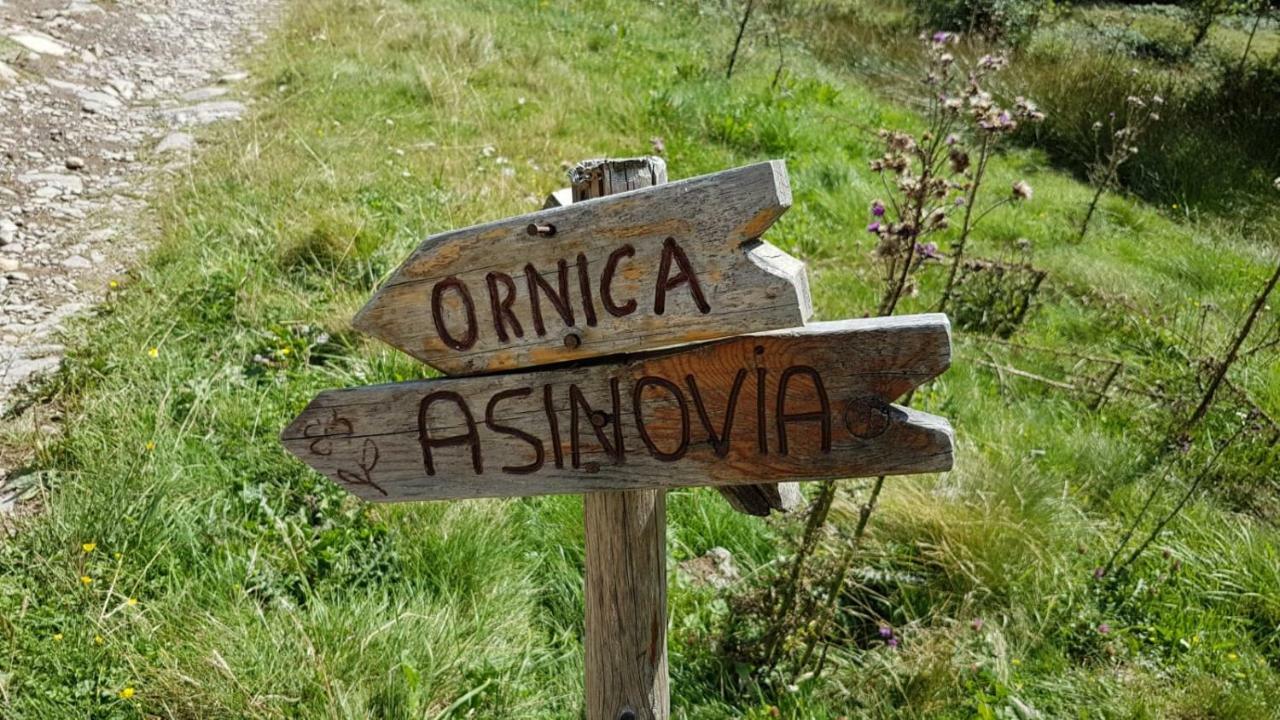Casa Del Cirillo Daire Ornica Dış mekan fotoğraf